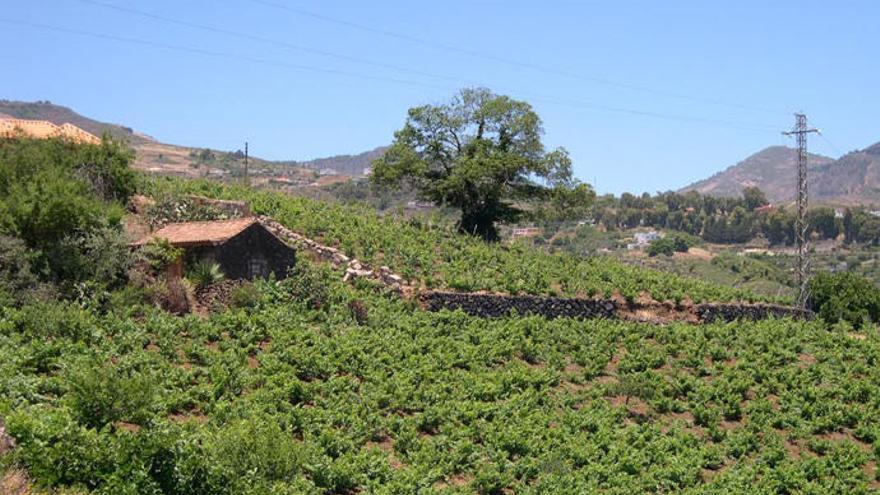 Un proyecto aprovecha el agua que generan los hogares