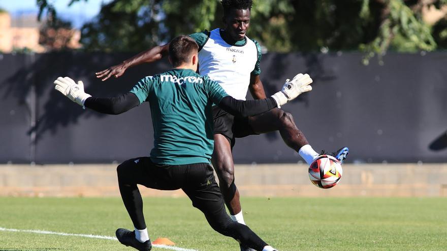 La previa | El Castellón regresa a su hogar para seguir firme ante su afición frente al Alcoyano