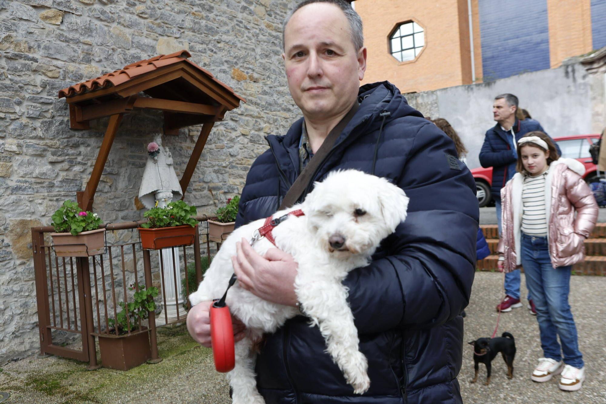 Bendición mascotas en Gijón en la parroquia de Viesques