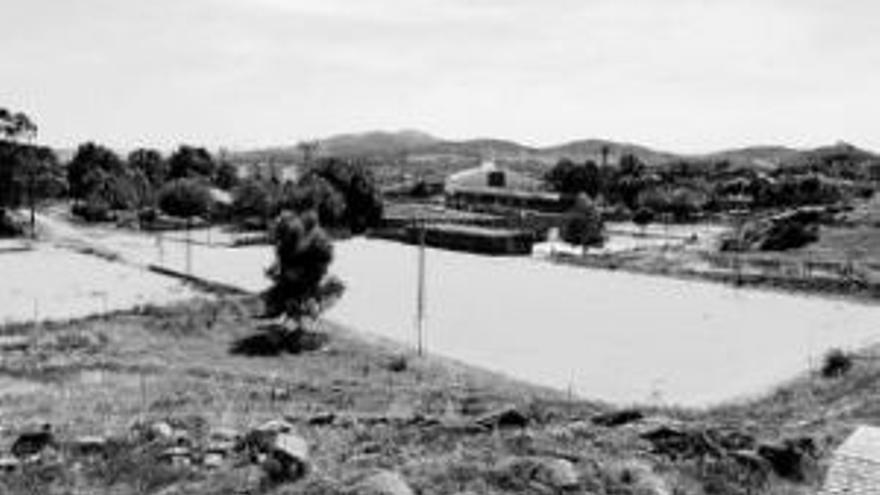 La federación pide reformas en el Mundial o no hará el campo