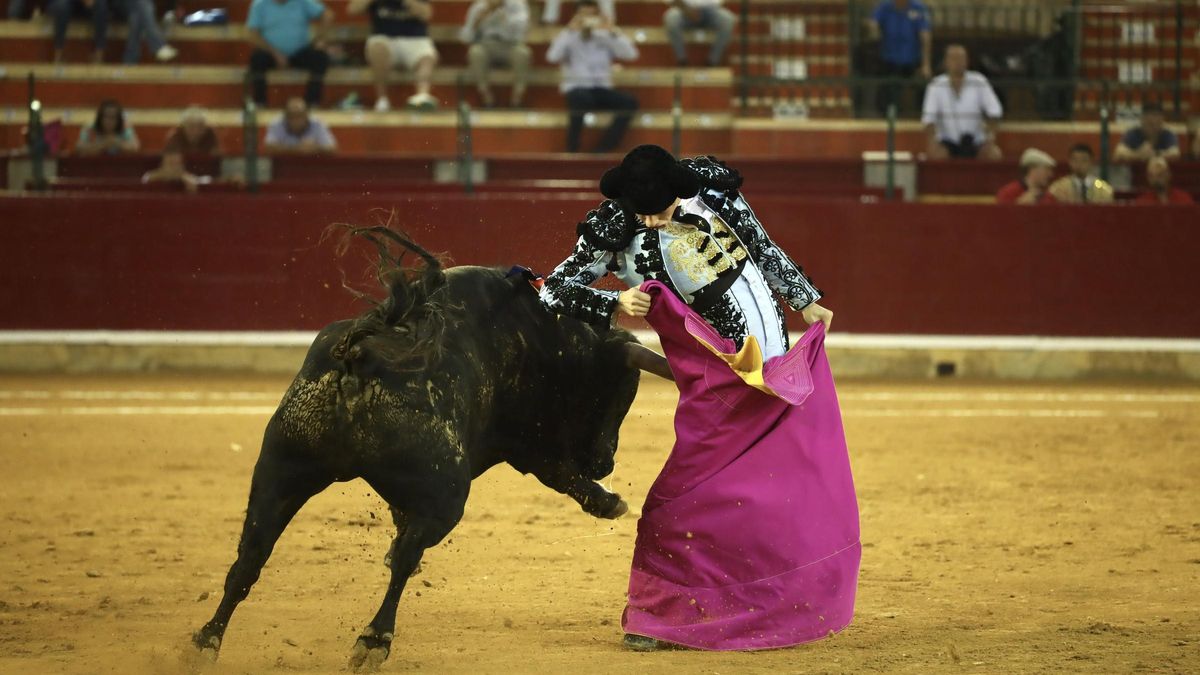 Tristán Barroso, tan animoso durante toda la tarde, ejecuta una chicuelina al primer novillo de su lote.