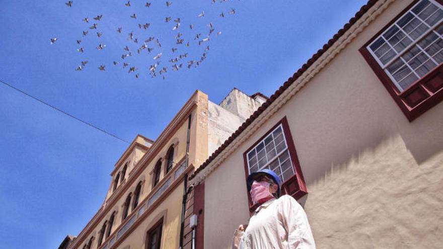 Una mujer en las calles del casco histórico de La Laguna.