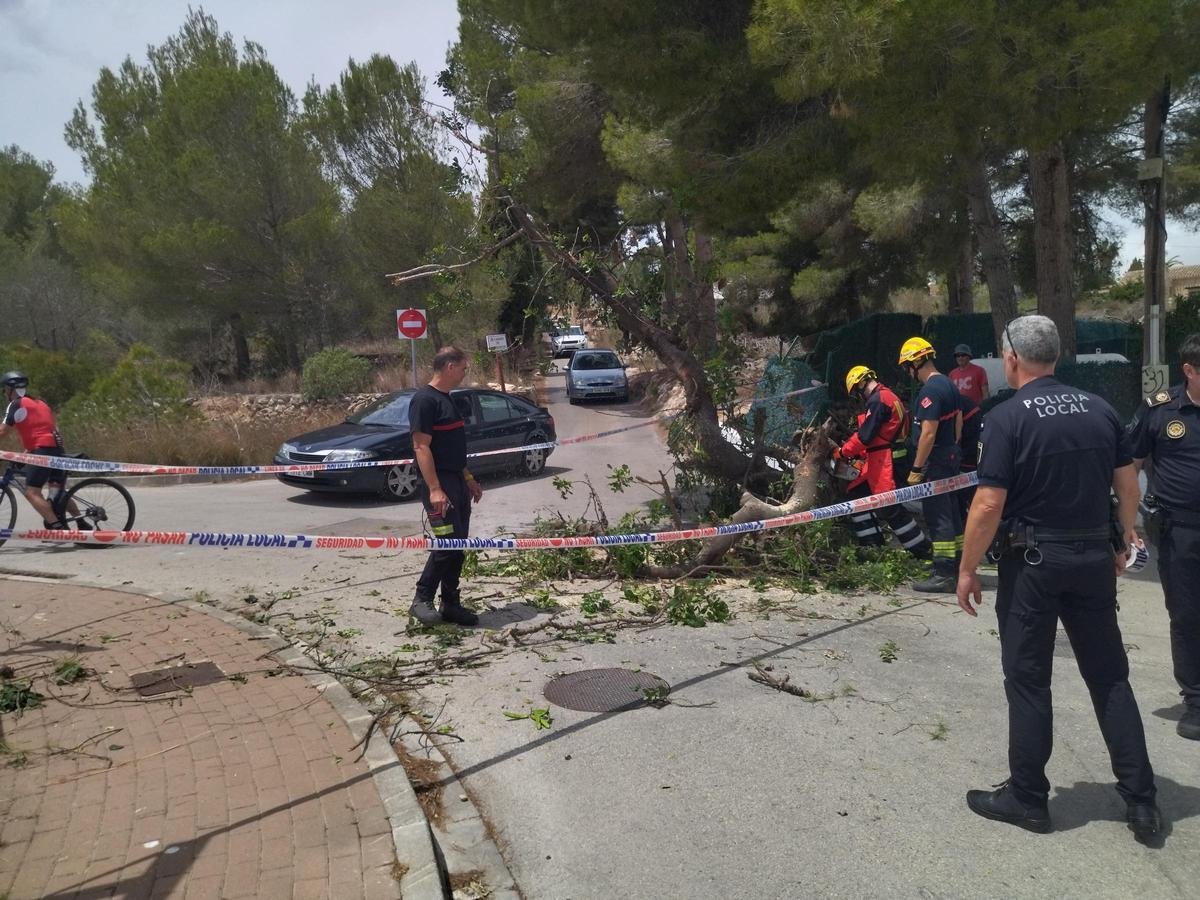 La calle ha permanecido cerrada mientras los bomberos retiraban el árbol caído