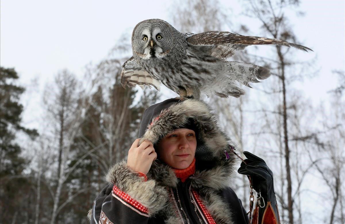 Mykh, un gran búho gris de dos años de edad, se sienta en la cabeza de la ornitóloga Daria Koshcheyeva, durante una sesión de entrenamiento que forma parte de un proyecto de un zoológico local para domesticar animales en el bosque de Taiga de Siberia, en Krasnoyarsk.