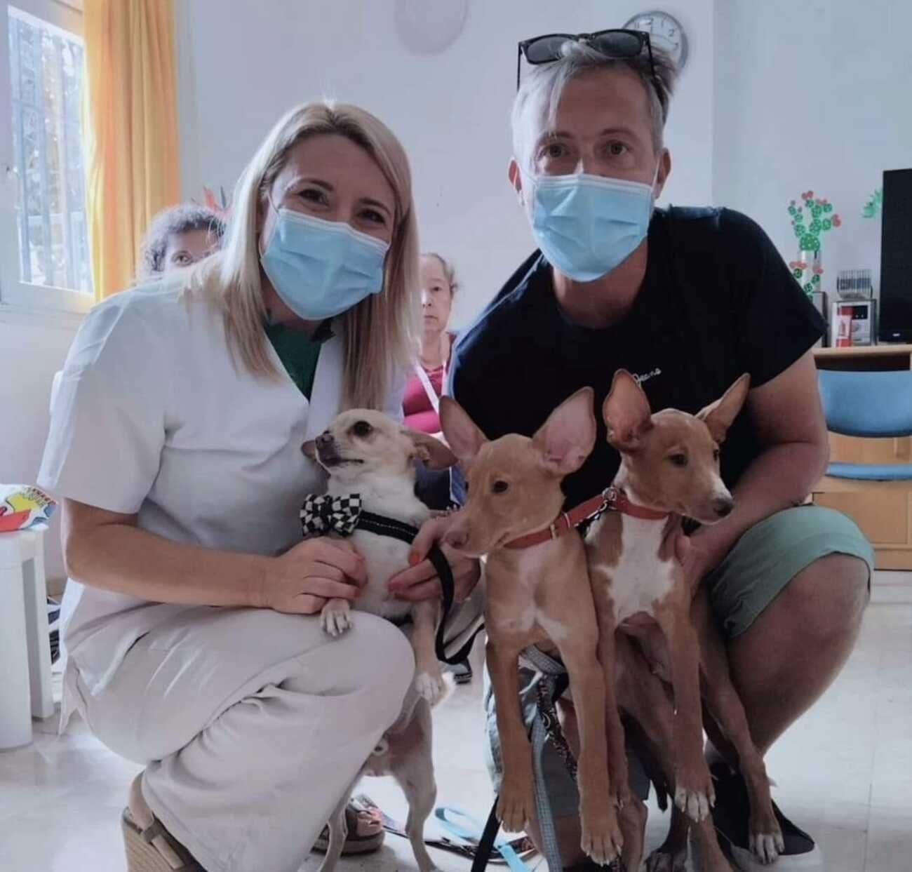 Arrugas con huellas: proyecto con mascotas abandonadas en centro de mayores