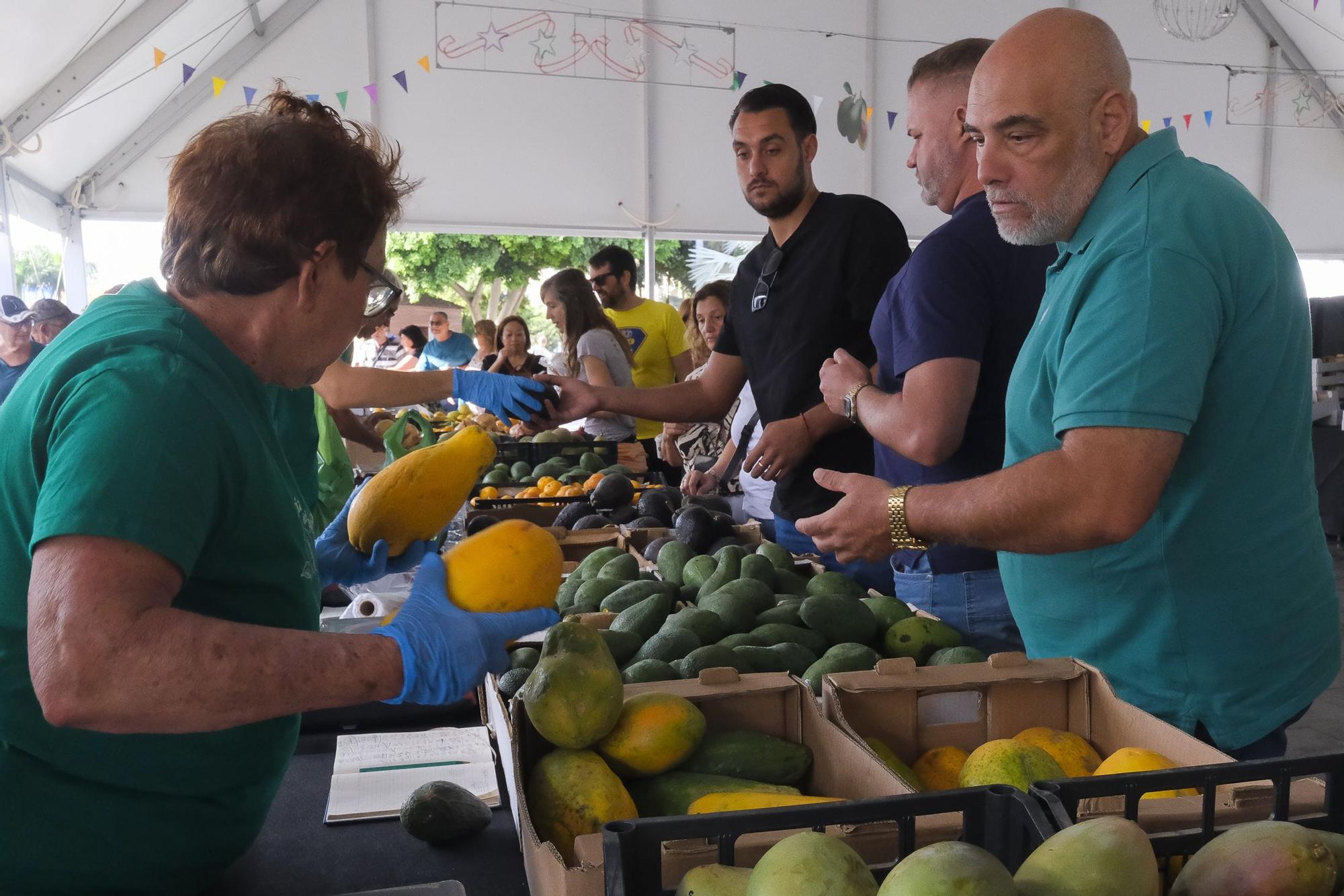 04-11-2024 MOGÁN. IX Feria del Aguacate de Mogán, en Arguineguín  | 01/12/2024 | Fotógrafo: Andrés Cruz