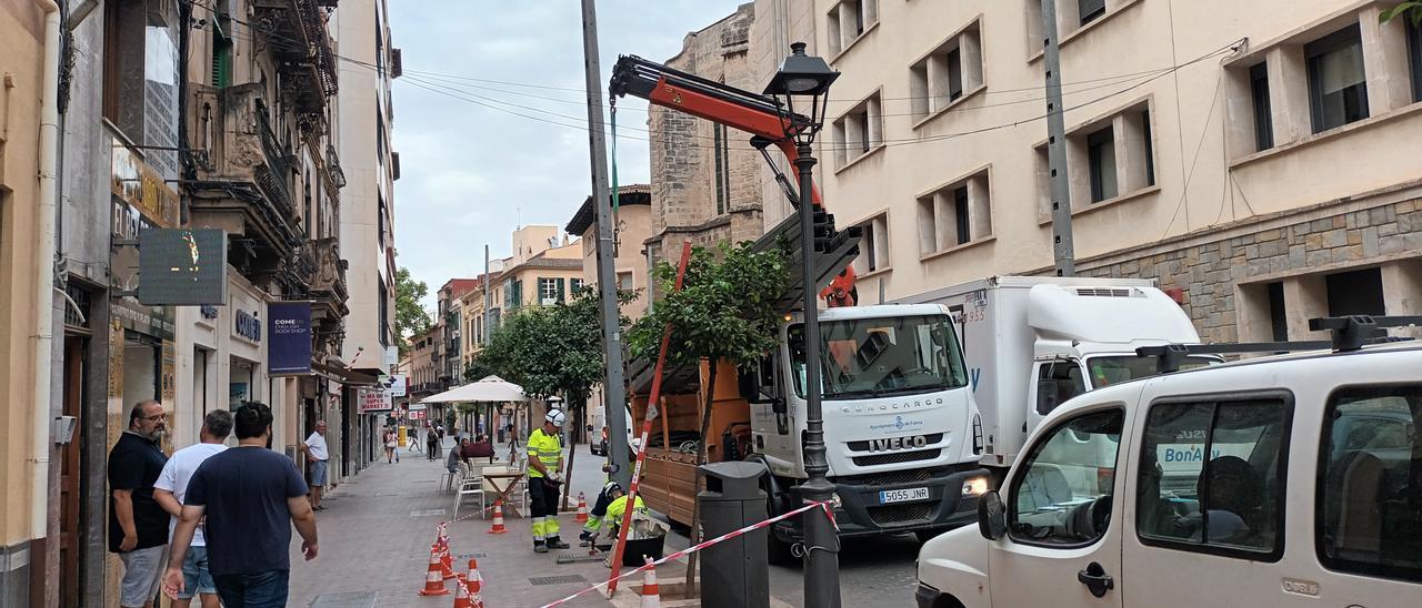 Los operarios colocan un poste de la iluminación navideña en la calle Sant Miquel.