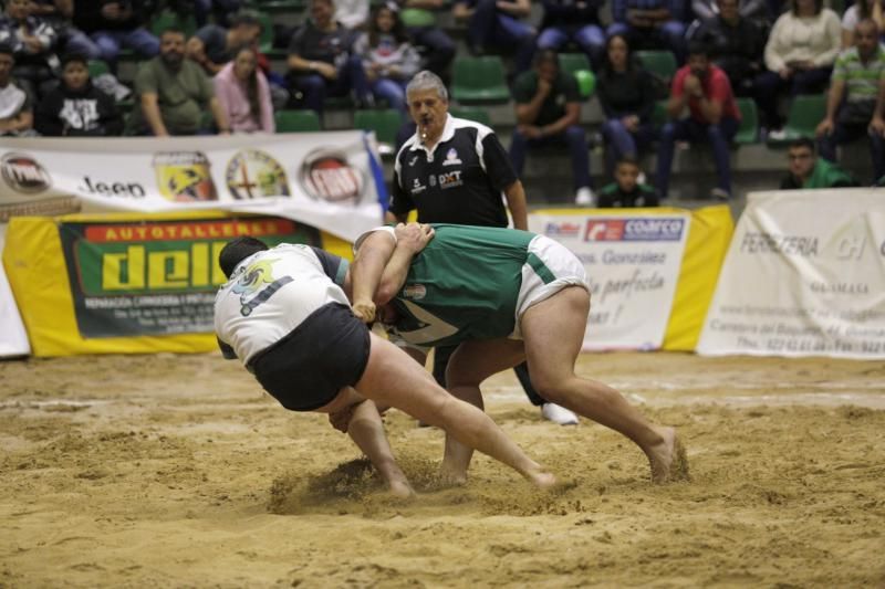 Final de la Liga Cabildo de Segunda categoría de Lucha Canaria  | 14/02/2020 | Fotógrafo: Delia Padrón