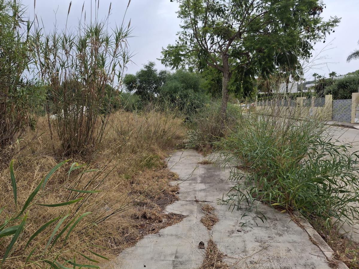 Acera invadida totalmente por la maleza