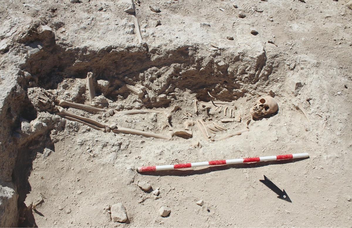 Restos óseos de un individuo en la fosa del castillo, cuyos pies y la cabeza quedaron a una altura algo superior que la dada en la zona de la pelvis.