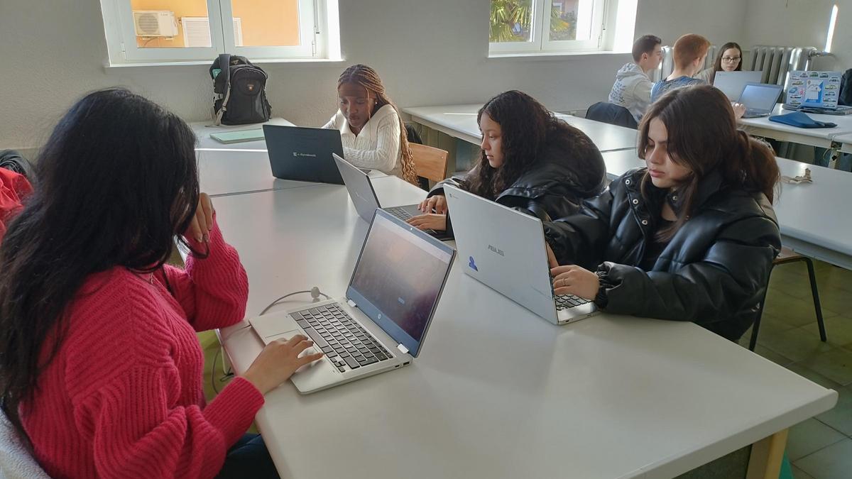 Los alumnos investigaron en tres grupos sobre diferentes zonas de impacto