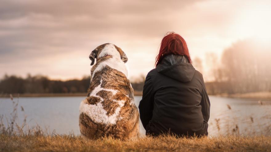 ¿Se puede dejar un perro en herencia? ¿Quién es el responsable cuando su dueño muere?