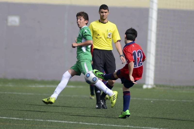 FÚTBOL: Casablanca - Osasuna (Final Alevín)