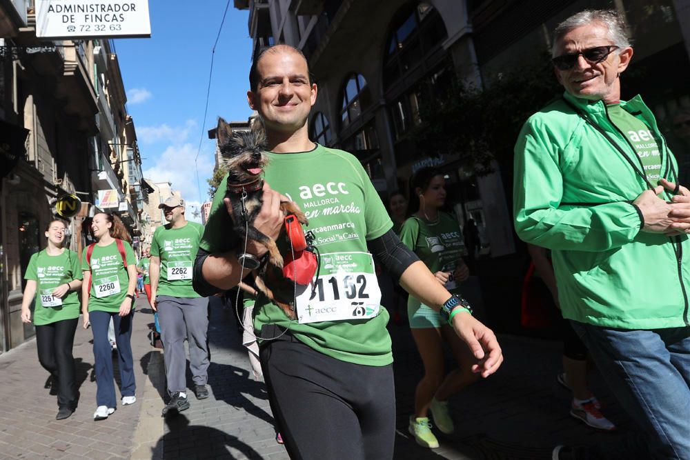 II Carrera contra el Càncer "AECC Mallorca en marcha"