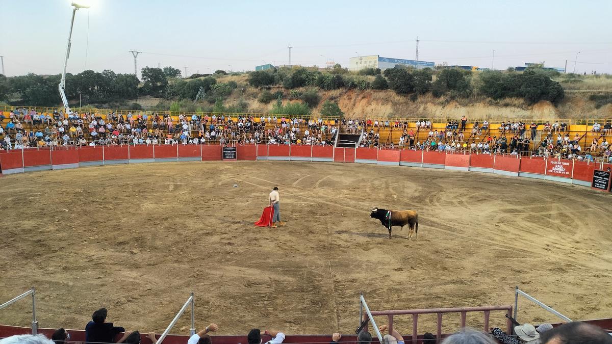 Uno de los espectáculos taurinos organizados en Coria durante este año.
