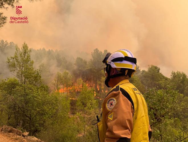 Aviones, bomberos y satélites: la respuesta de la UE ante la virulencia de los incendios en España y Francia