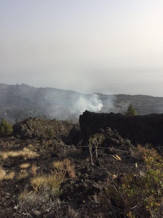 Incendio forestal en la zona de Montaña de Jedey, en La Palma