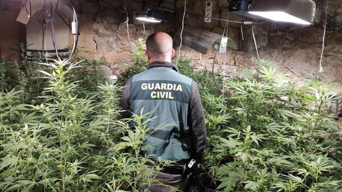 Imagen de archivo de una operación de la Guardia Civil contra el cultivo ilegal de marihuana