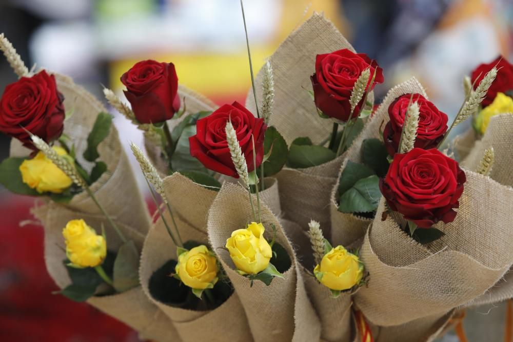 Diada de Sant Jordi 2019 a Girona.