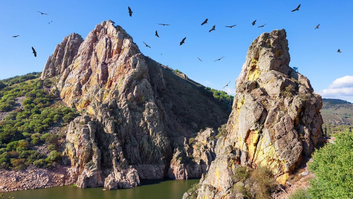 El Parque Nacional en el que decenas de especies de aves encuentran su refugio.