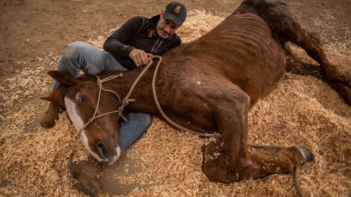 Una de las participantes en el Día de los Animales. | | ANDRÉS GUTIÉRREZ