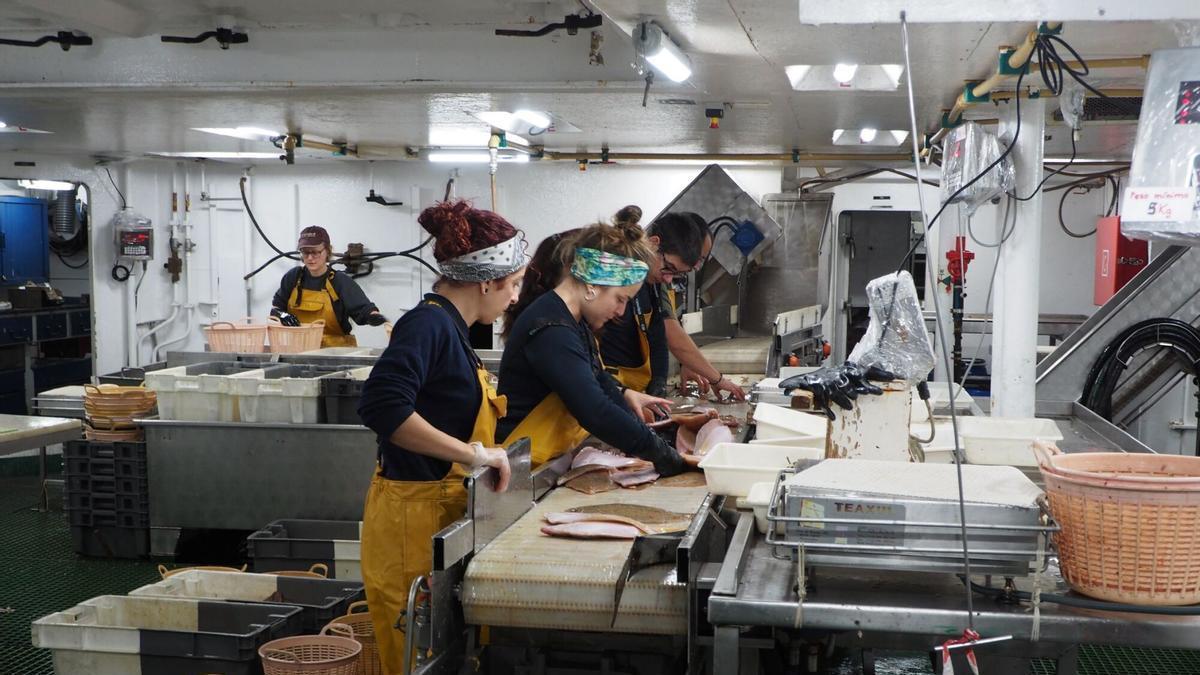 Investigadores del Instituto Español de Oceanografia (IEO) de Vigo, en una campaña anterior de «Platuxa».