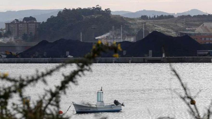 Pilas de carbón en la ampliación de los muelles de Raíces.