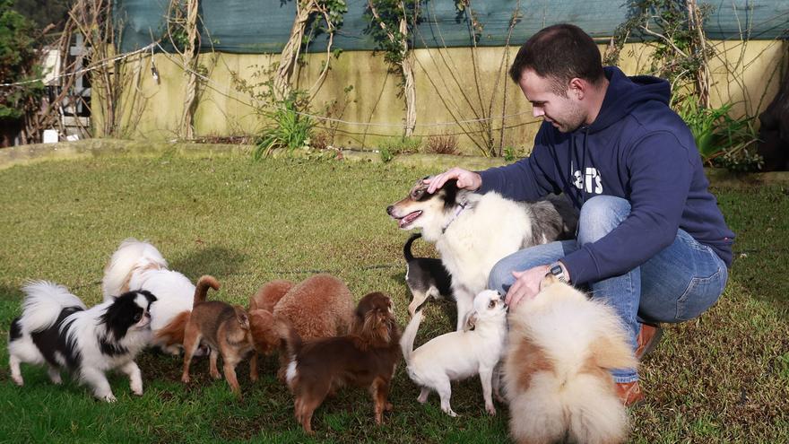 Coto a la venta ilegal de mascotas