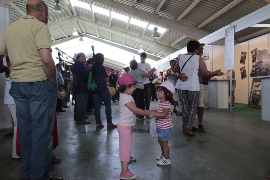 Fiesta de la Trashumancia en San Vitero