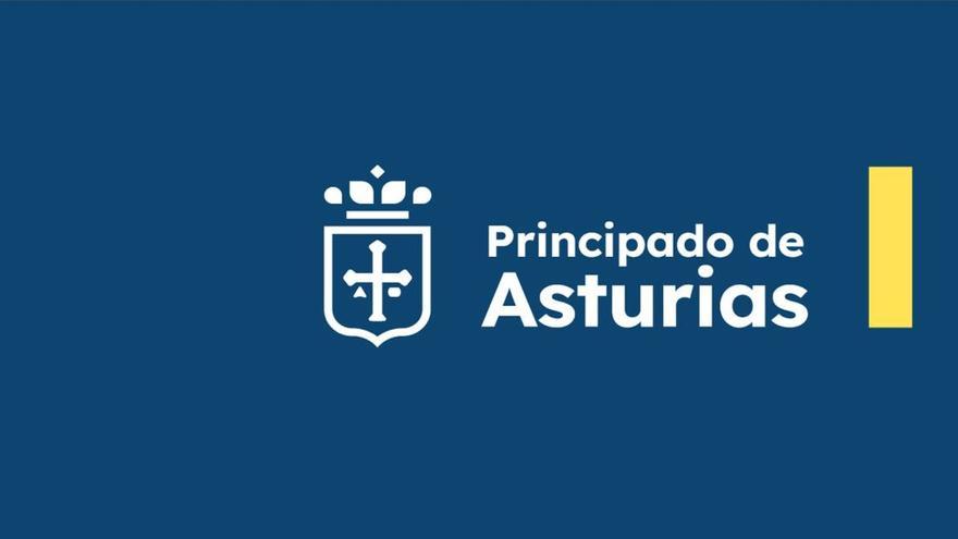 VÍDEO: Rueda de prensa dimisión Lydia Espina