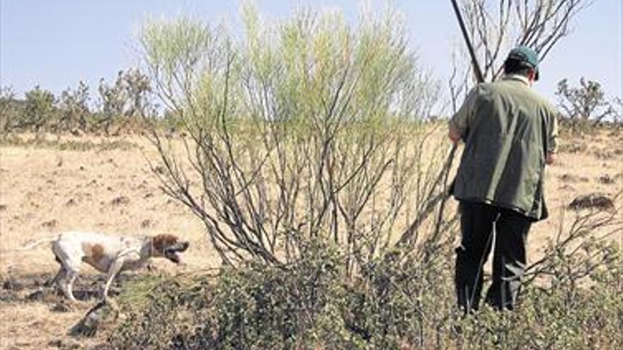 La Policía Local de Vila-real detiene a dos cazadores furtivos de tórtolas