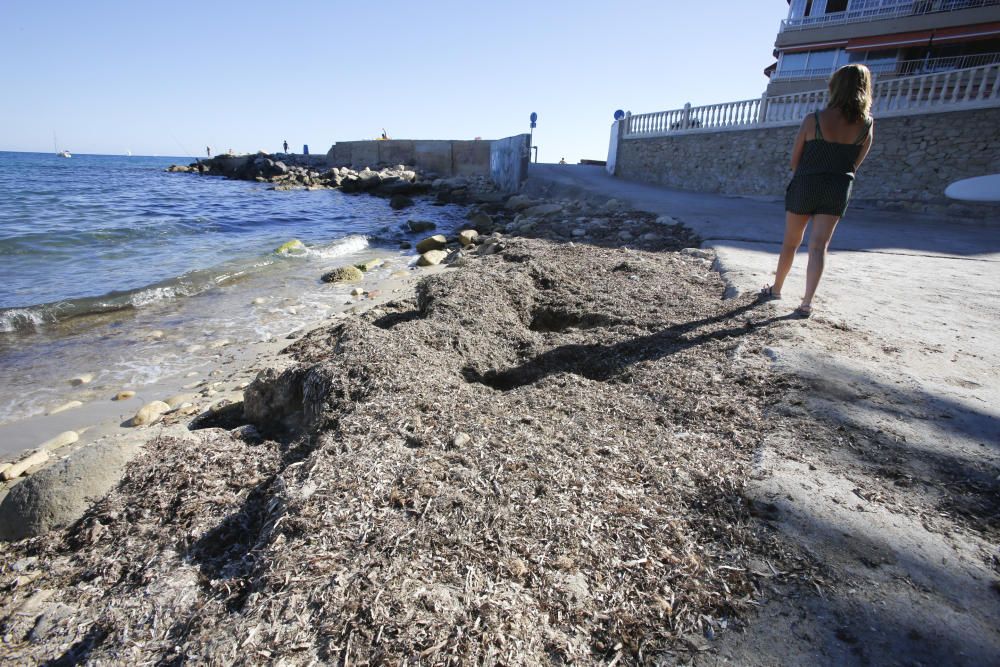 Alicante deja perder sus calas