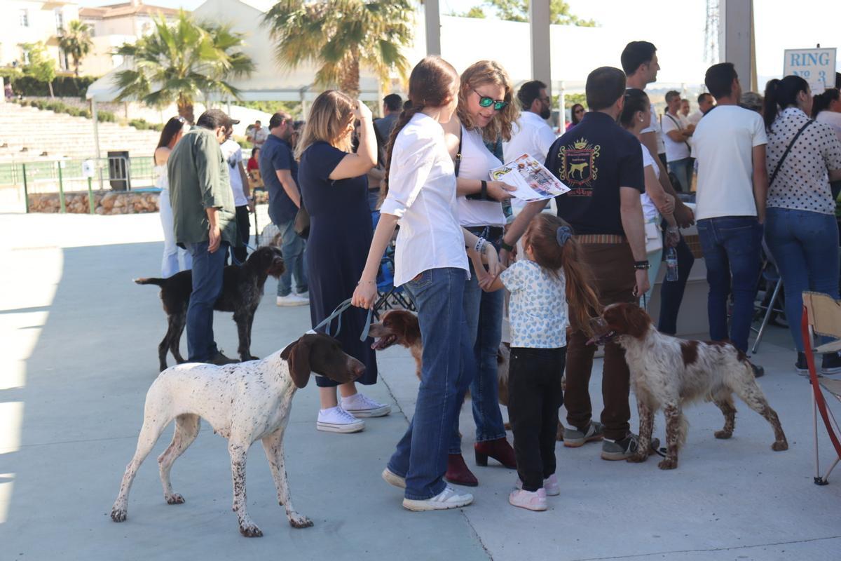 Feria del Perro de Archidona de 2024