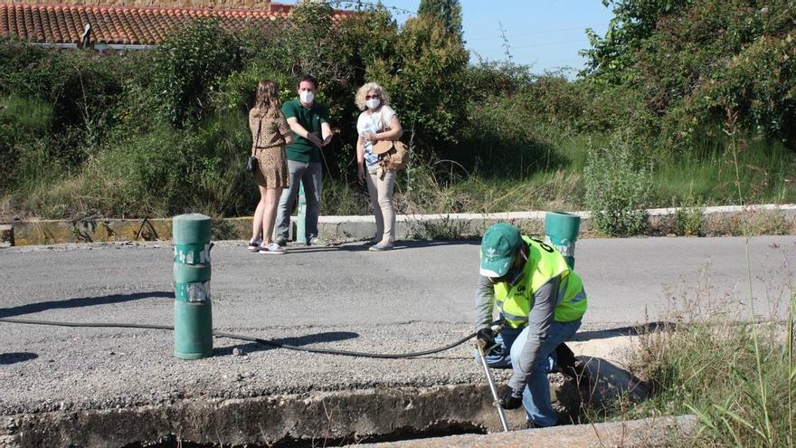 Castelló atacará las ‘zonas cero’ de las plagas para atajar molestias