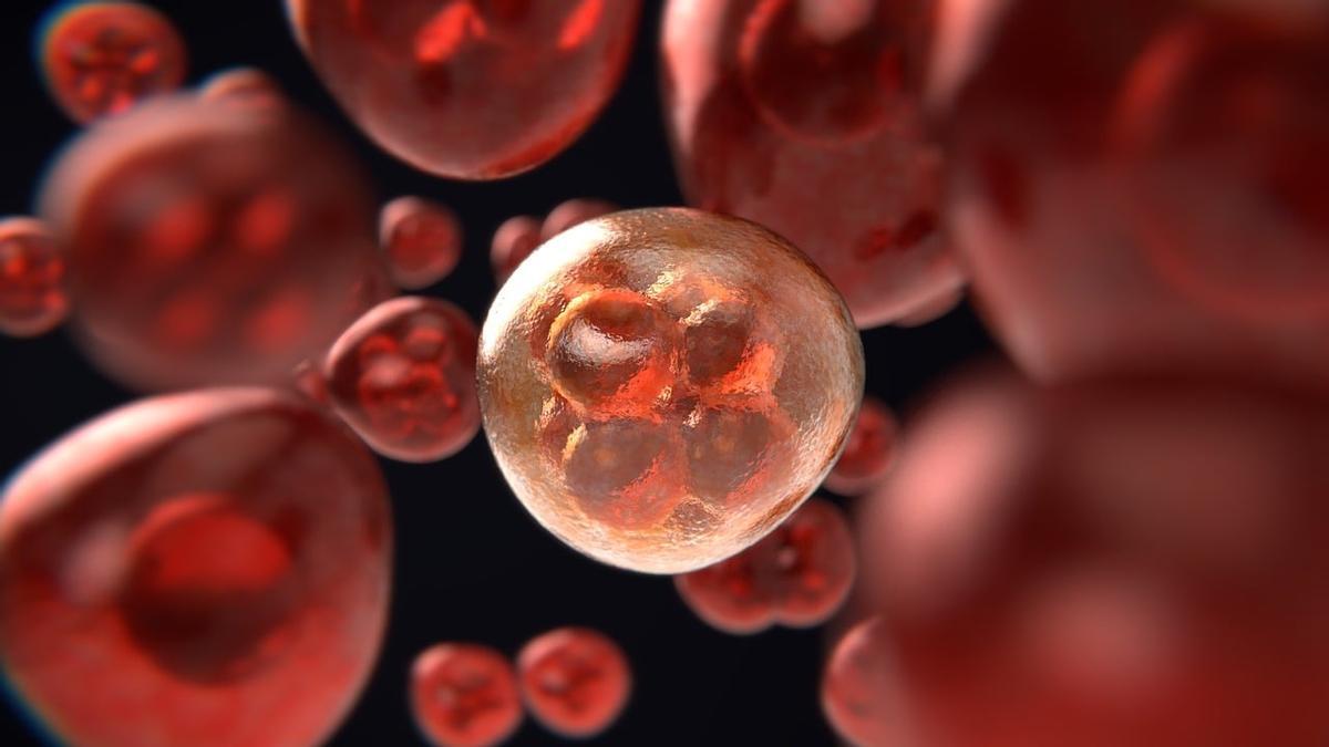 El desarrollo de células sintéticas podría llevar a los científicos a concretar avances claves en medicina y otras áreas, además de comprender mejor los orígenes de la vida en la Tierra.