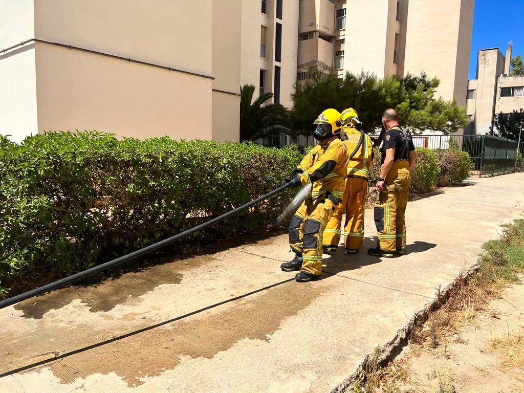 Oleada de incendios intencionados de contenedores en Palma