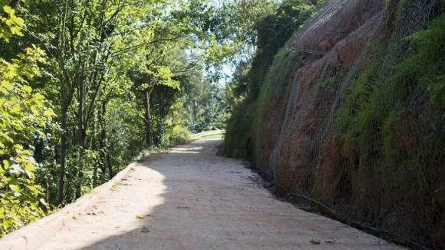 El camino de Piemonte y, a la derecha, parte de la ladera afectada por los argayos con la red de contención instalada.