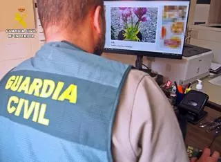 Investigado un vecino de Almendralejo por comercializar con especies de plantas protegidas
