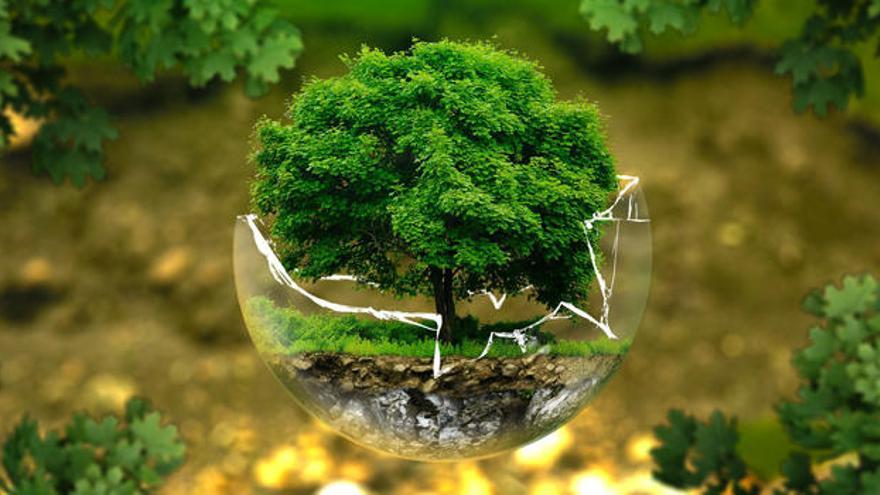 Canvi climàtic: 5 propòsits per a tu i per al medi ambient