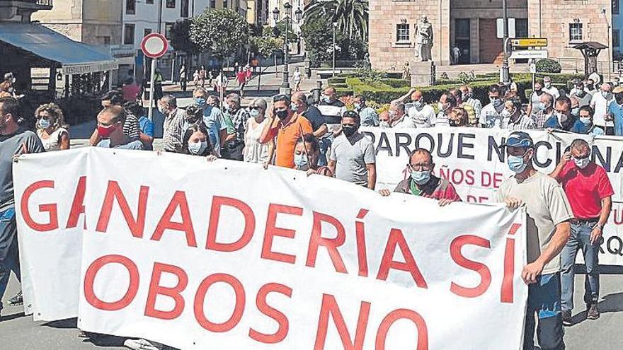 Una campaña de protesta contra el lobo en el oriente de Asturias.