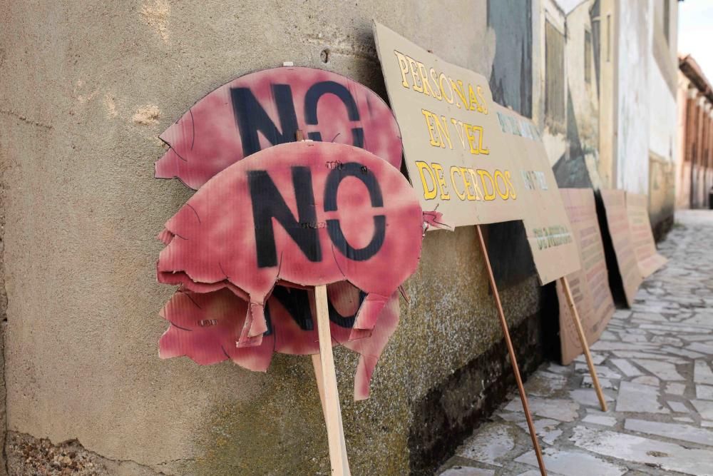 Manifestación contra las macrogranjas en Cerecinos