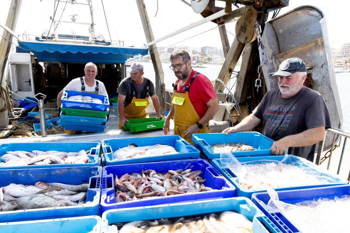 Descarga de pescado en una embarcación con puertas voladoras.