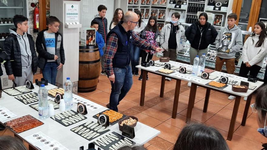 Alumnos franceses participantes en un intercambio educativo con un centro de Zamora. | Cedida