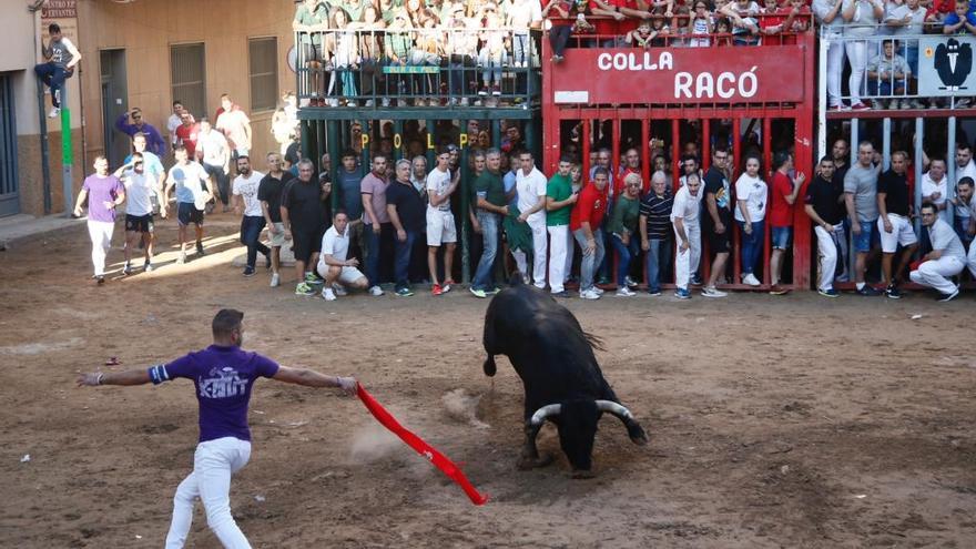 Muere en el corral uno de los toros de la tarde que iba a ser embolado por la noche