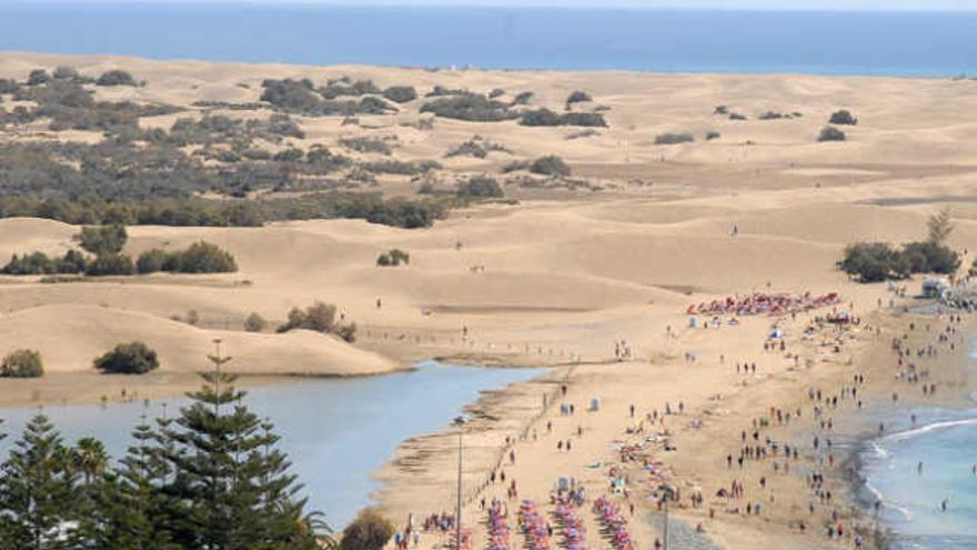 Gran Canaria ha perdido en medio siglo el 65% de sus dunas