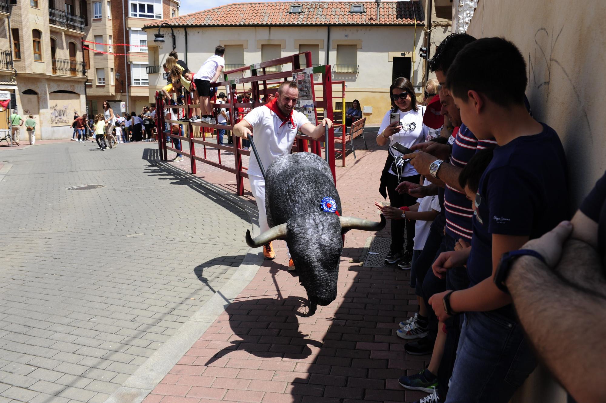 Los niños de Benavente dan el do de pecho en las Escuelas Taurinas