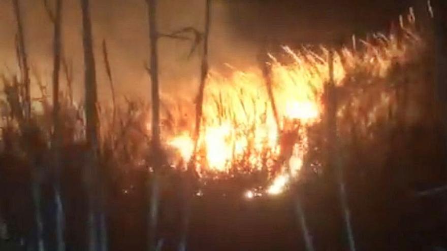 Tres incendios en Fortaleny y Alzira junto a cauces fluviales