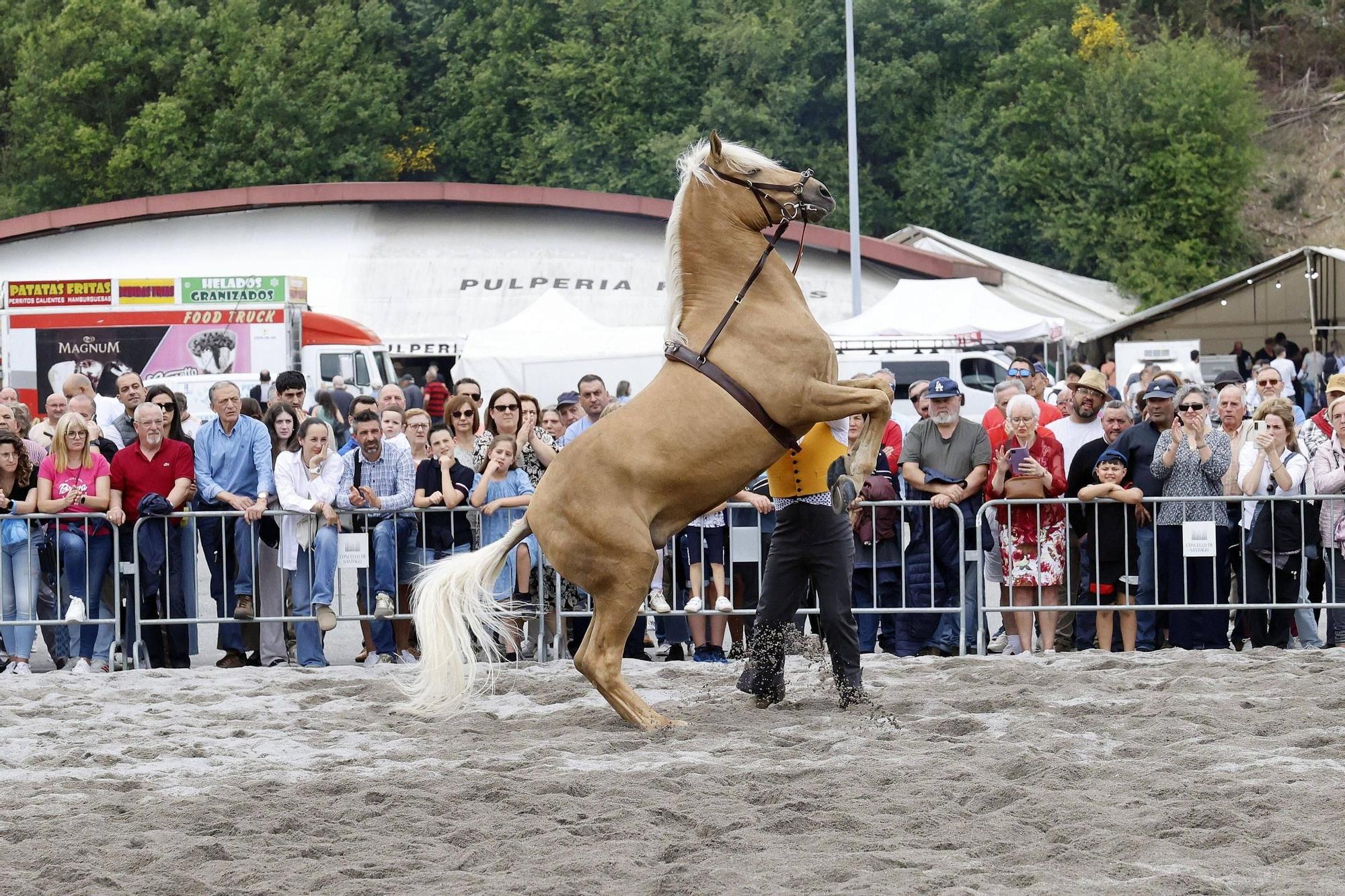 Éxito de la Feira Cabalar de la Ascensión en Amio