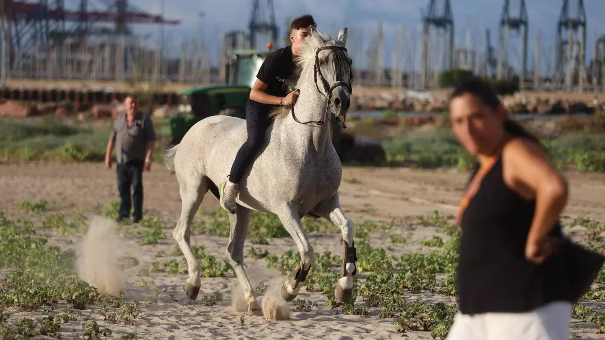 "Corregudes de joies": Pinedo se transforma en el Ascot de València
