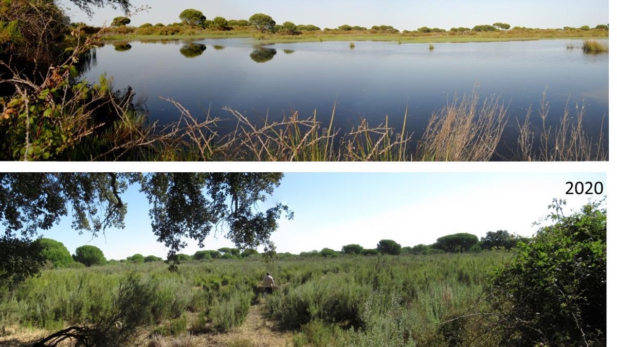 La situación en Doñana es alarmante por falta de agua